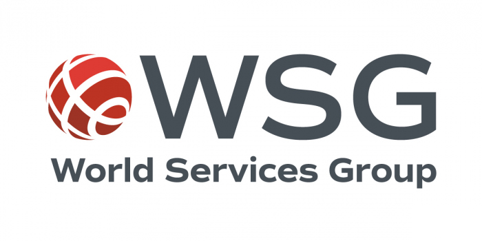 World Services Group